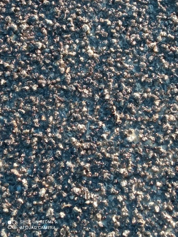 IMG-20221123-WA0010 Наливной пол для улицы в близи